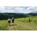Wicklow Way | Cicerone Guide