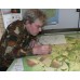 Ireland Map | Fir Tree Maps